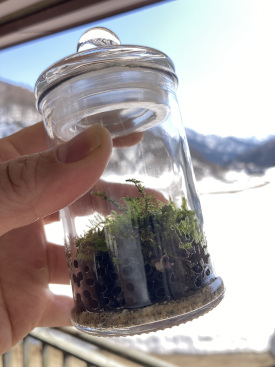 植物屋 ヨアケマエ